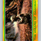 1980 Topps The Empire Strikes Back #308 The Wizard of Dagobah   V43836