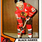 1974-75 O-Pee-Chee #20 Stan Mikita  Chicago Blackhawks  V46141