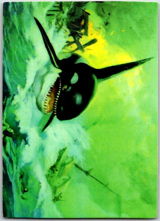 1993 Frank Frazetta 2 Fantasy #43 Ocra, Killer Whale  V47415