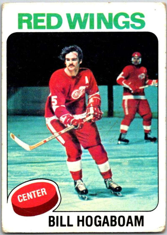 1975-76 Topps #67 Bill Hogaboam  Detroit Red Wings  V49064