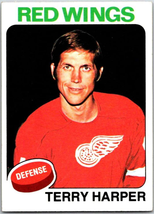 1975-76 Topps #255 Terry Harper  Detroit Red Wings  V49128