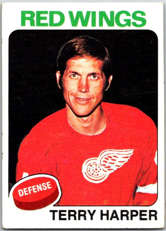 1975-76 Topps #255 Terry Harper  Detroit Red Wings  V49129