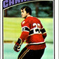 1976-77 Topps #15 Pete Mahovlich  Montreal Canadiens  V49168