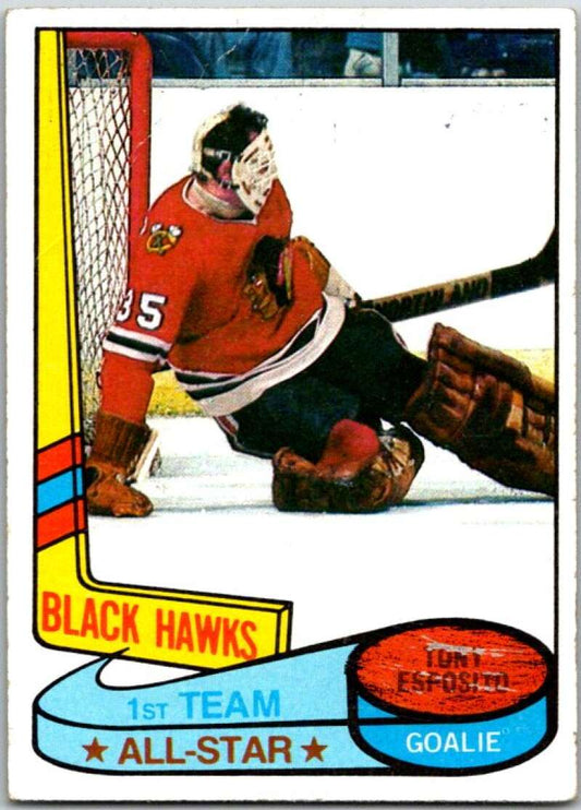 1980-81 Topps #86 Tony Esposito AS  Chicago Blackhawks  V49614