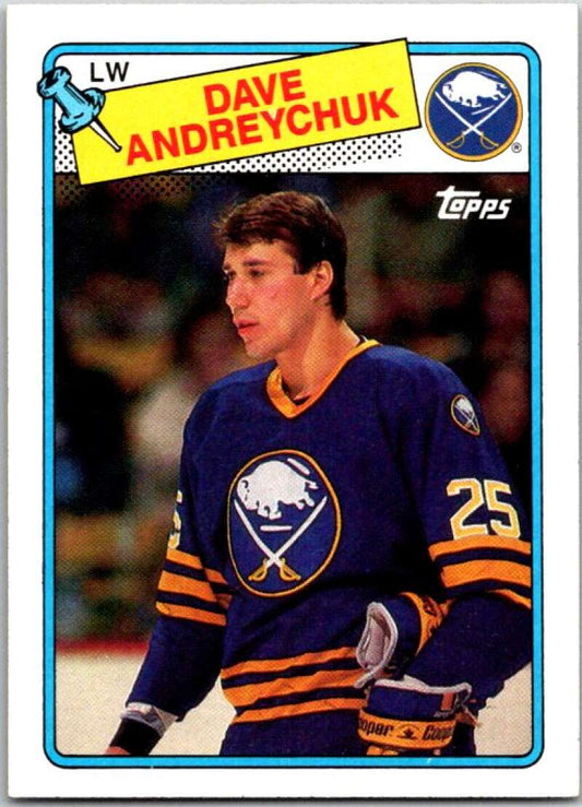 1988-89 Topps #163 Dave Andreychuk   V50275