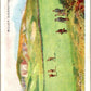 1924 W.D. & H.O. Will's Cigarettes Golf #2 Braid Hills  V50965