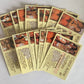 1993 Hooters Calendar Girls Collectors Sexy Cards Lot of 18 - V53293 Image 2