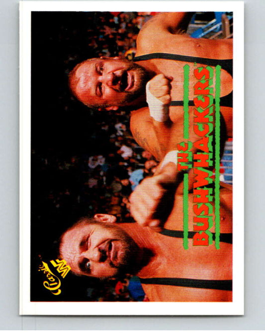1990 Classic WWF Wrestling #132 Bushwhackers    V66582 Image 1