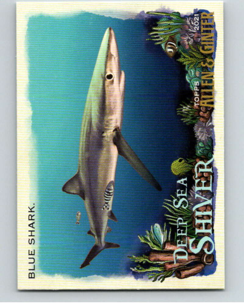 2021 Allen and Ginter Deep Sea Shiver #DSS-5 Blue Shark  V66912 Image 1