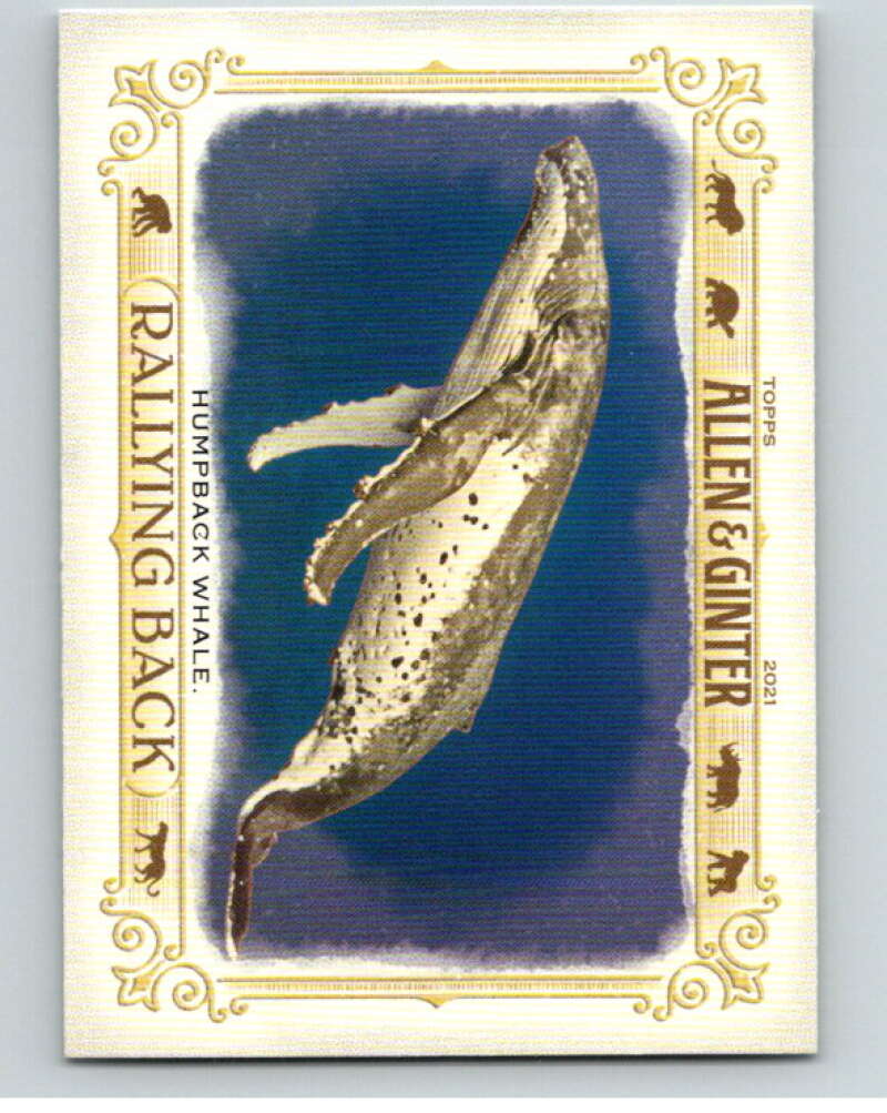 2021 Allen and Ginter Rallying Back #RB-6 Humpback Whale  V66914 Image 1
