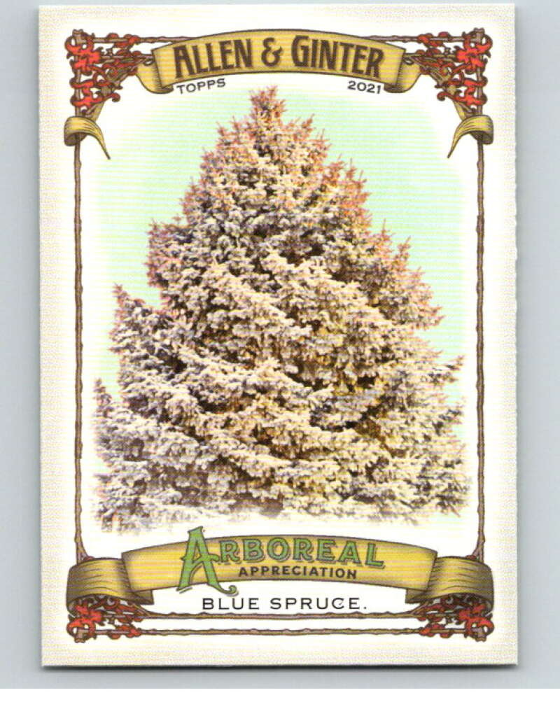 2021 Allen and Ginter Arboreal Appreciation #AA-1 Blue Spruce  V66915 Image 1
