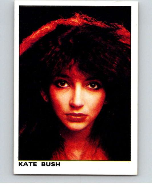 1980 Rock and Pop Collection Album Stickers #11 Kate Bush  V67996 Image 1