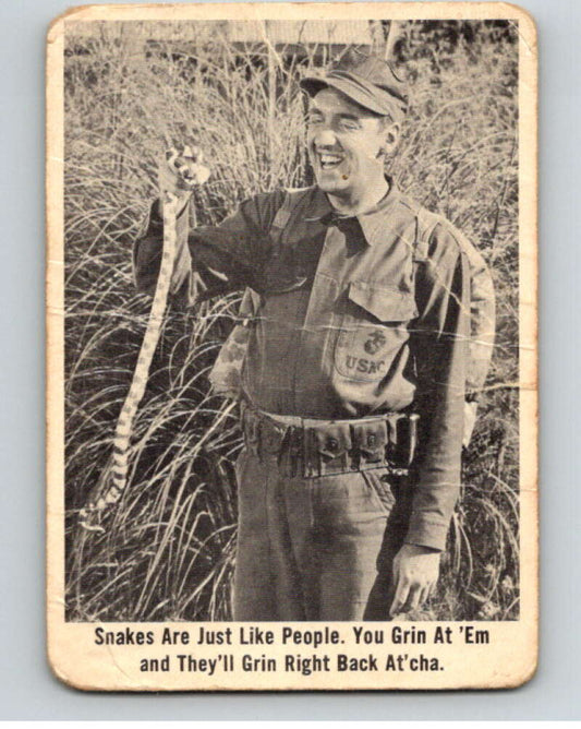 1965 Fleer Gomer Pyle #47 Snakes are just like people.  V68338 Image 1