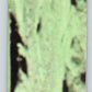 1976 Space 1999 #53 Space 1999 Trading Card  V68626 Image 2