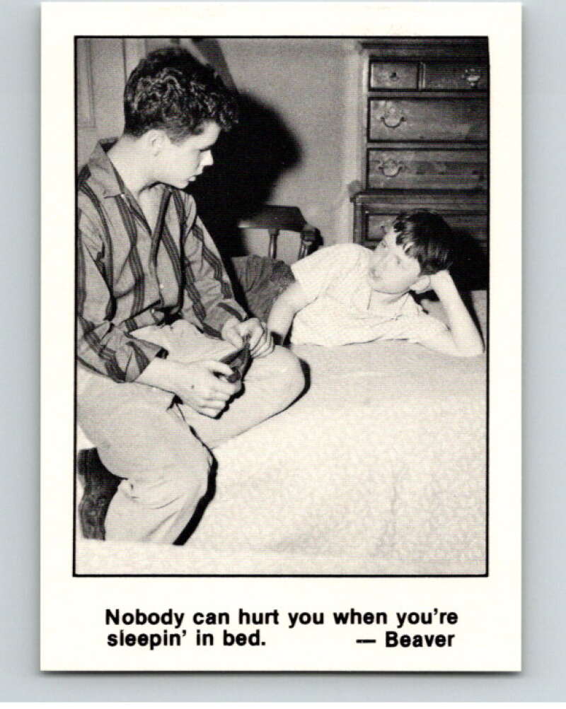 1983 Leave It to Beaver #17 Nobody Can Hurt You..  V68722 Image 1