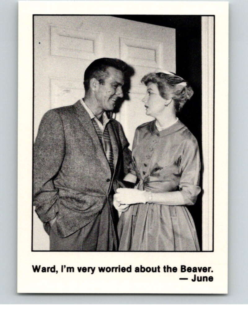 1983 Leave It to Beaver #22 Ward, I'm Very Worried  V68728 Image 1