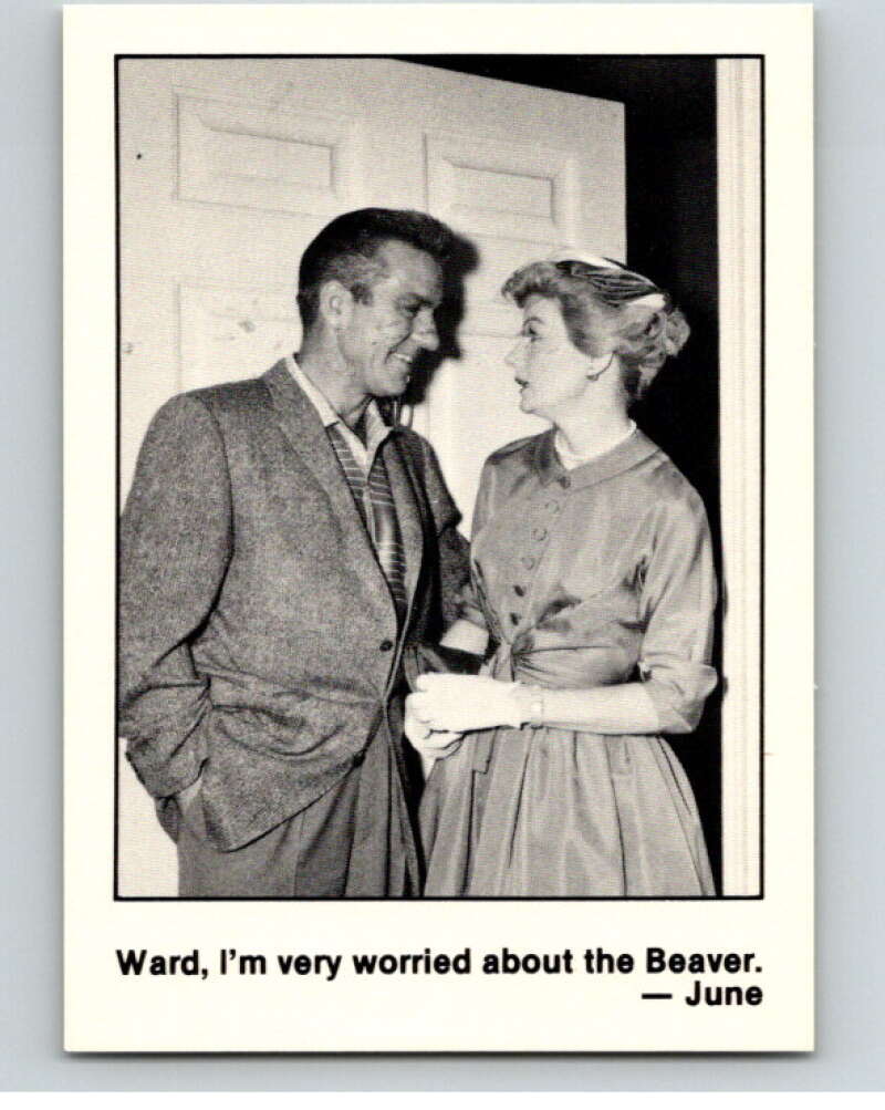 1983 Leave It to Beaver #22 Ward, I'm Very Worried  V68729 Image 1