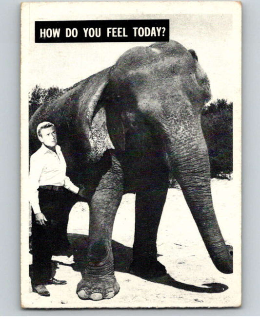 1967 Daktari #60 How Do You Feel Today?  V68755 Image 1