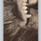 1969 Dark Shadows Green #7 Barnabas  V69073 Image 2
