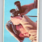 1966 OPC Rat Patrol #25 Dietrich scanned the horizon with his binoc   V69302 Image 1