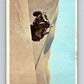 1966 OPC Rat Patrol #50 The jeep raced across the sands with Pettig   V69333 Image 1