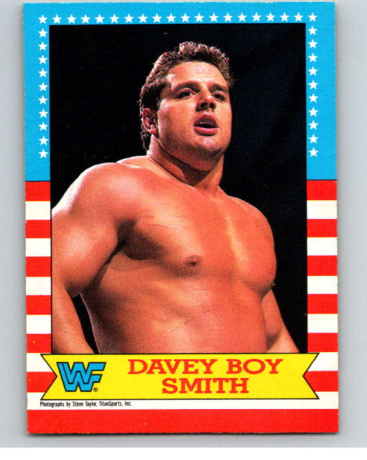 1987 O-Pee-Chee WWF #19 Davey Boy Smith   V69445 Image 1