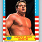 1987 O-Pee-Chee WWF #19 Davey Boy Smith   V69446 Image 1