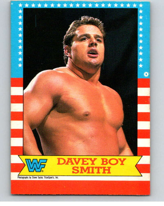 1987 O-Pee-Chee WWF #19 Davey Boy Smith   V69447 Image 1