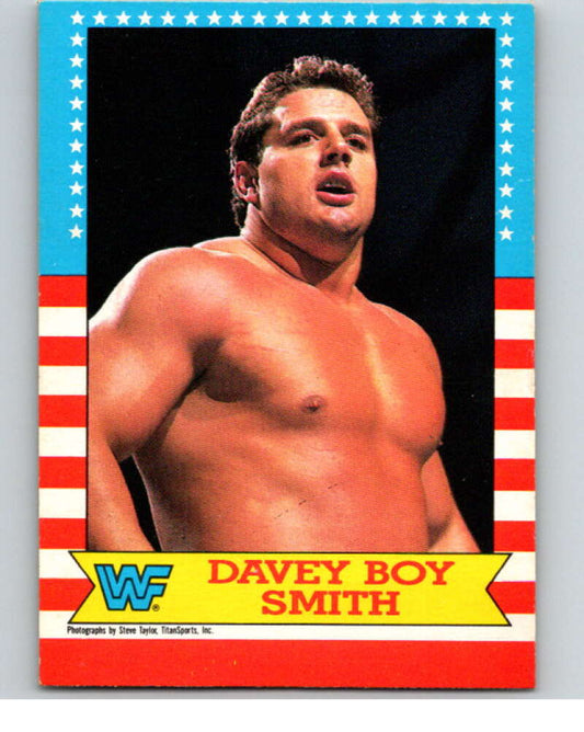 1987 O-Pee-Chee WWF #19 Davey Boy Smith   V69451 Image 1