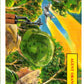 1988 Dart Flipcards Vietnam Facts Series I #40 Vietnam  V72213 Image 1