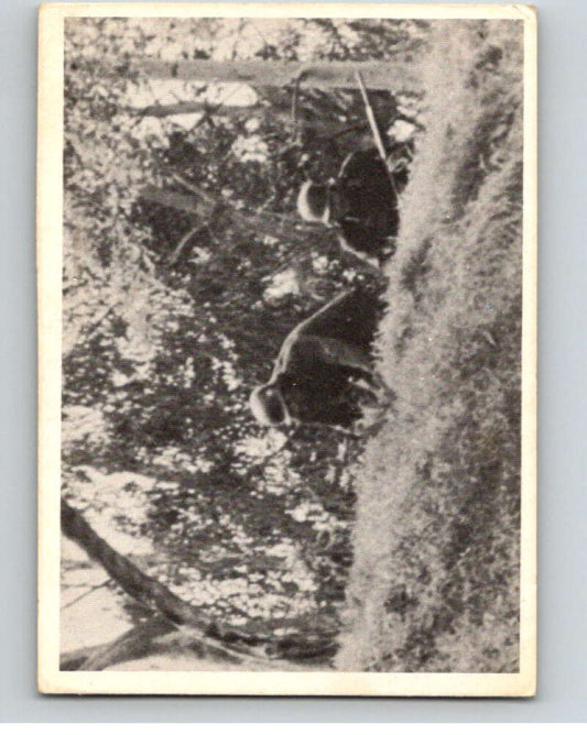 1964 Donruss Combat #76 Deadly Surprise   V74091 Image 1