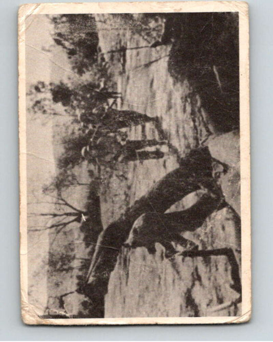 1964 Donruss Combat #78 Blasted Country   V74092 Image 1