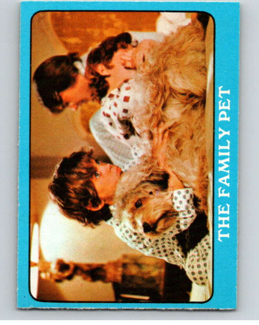 1971 Partridge Family Series A OPC #26A The Family Pet V74436 Image 1