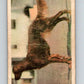 1959 Sicle Dogs #4 Irish Setter  V78621 Image 1