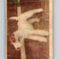 1959 Sicle Dogs #7 Fox Terrier  V78622 Image 1