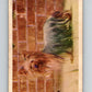 1959 Sicle Dogs #20 Yorkshire Terrier  V78624 Image 1