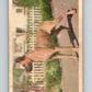 1959 Sicle Dogs #24 Great Dane V78626 Image 1