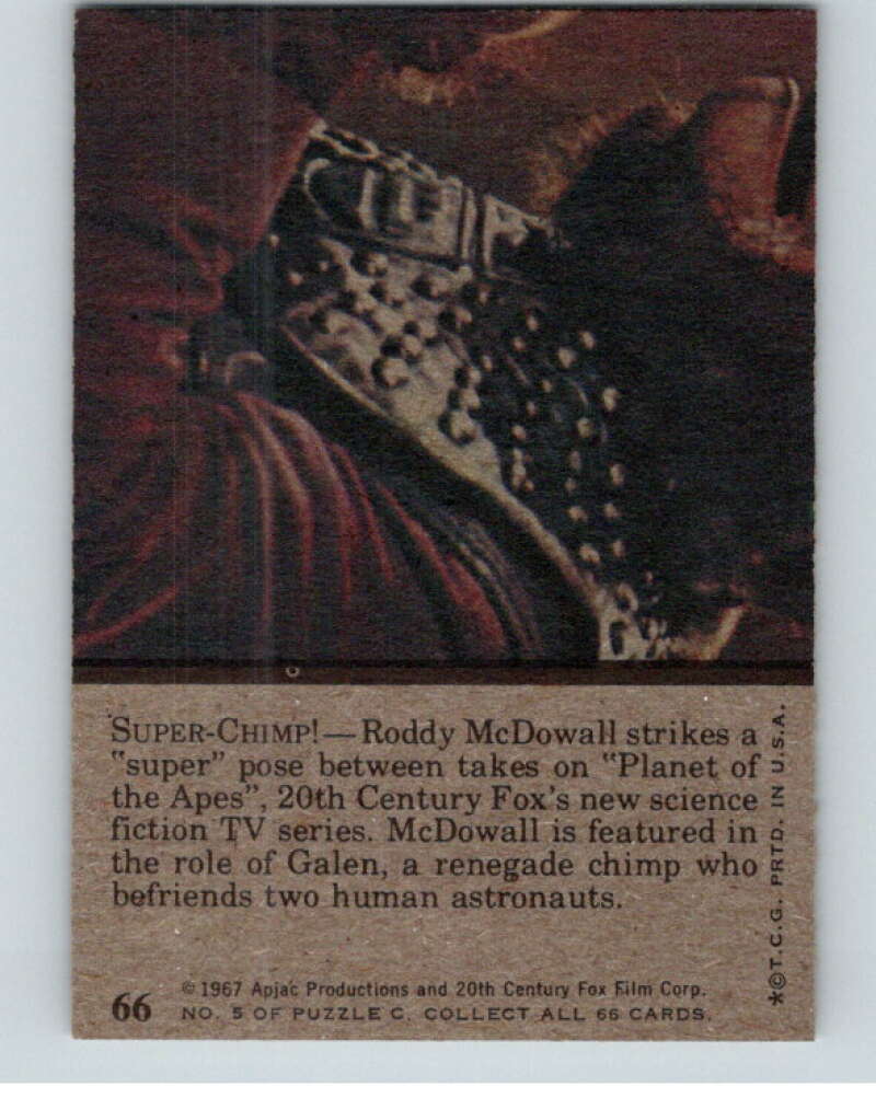 1967 Topps Planet of the Apes #66 Super-Chimp  V78710 Image 2