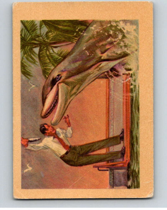 1956 Adventure R749 #27 Bottlenosed Dolphin  V78714 Image 1