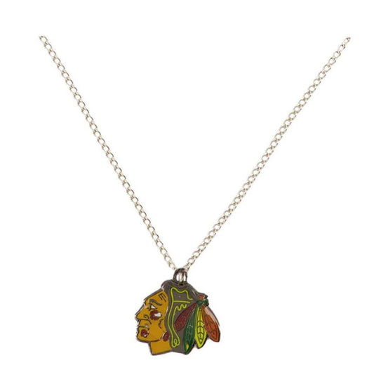 Chicago Blackhawks Silver Metal Pendant Necklace with Team Logo - 18" Chain  Image 1