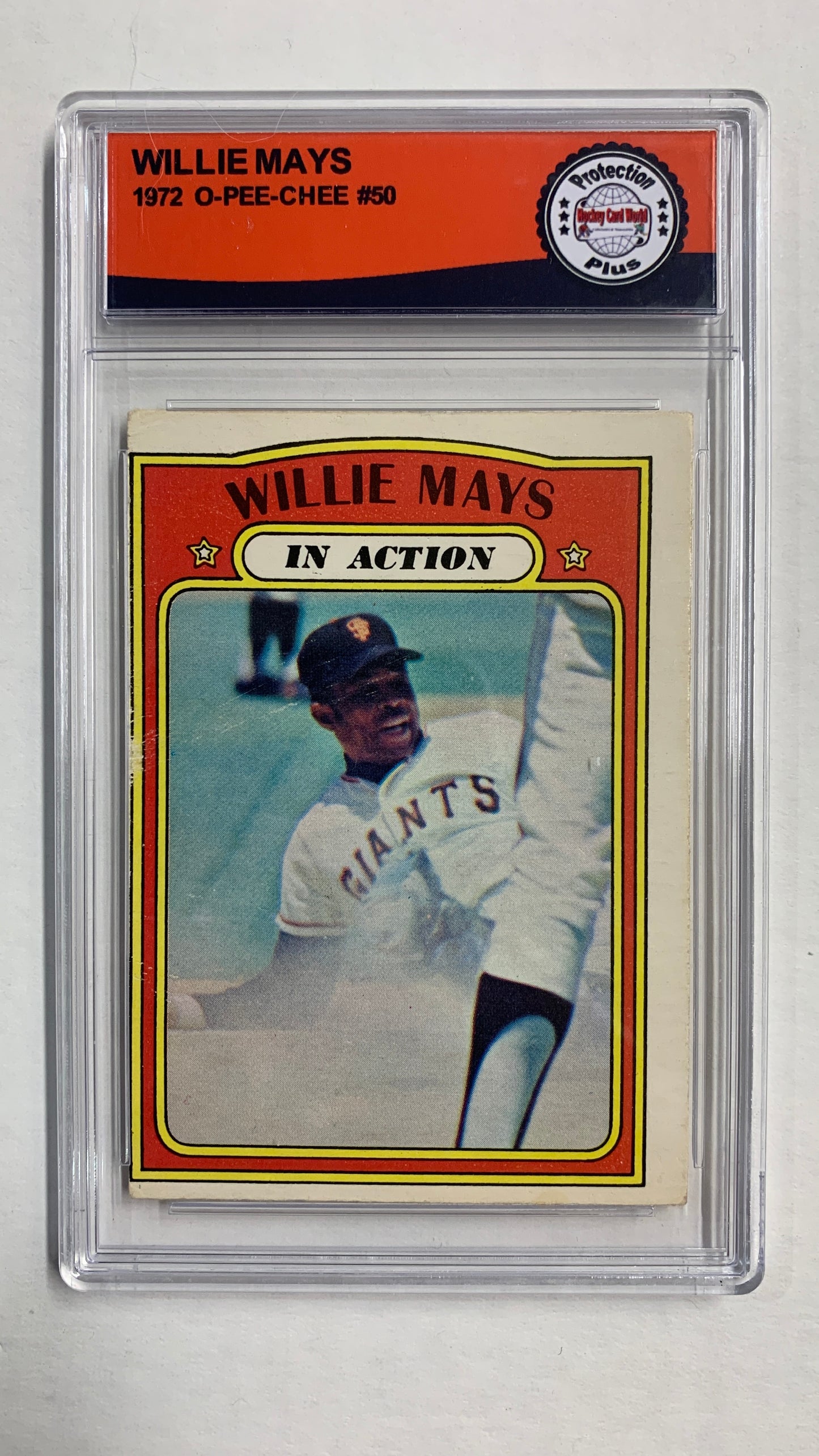 294073