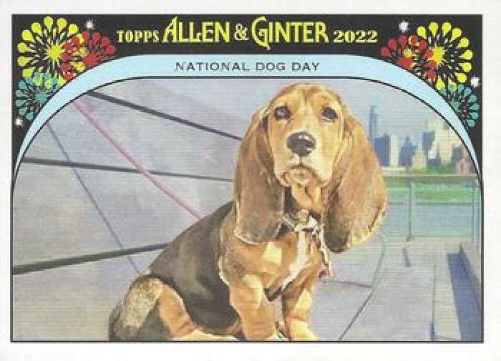 2022 Topps Allen and Ginter Baseaball Special Day #IYSD-6 Dog Day   V97183 Image 1